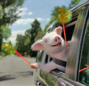 Nashville-to-Memphis BBQ Trail: A Better Q for 'A to Z Guide to Southern Food'